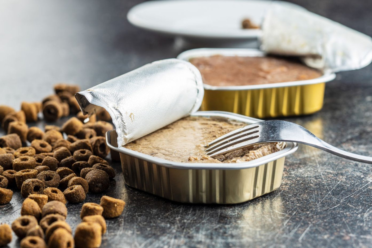 alimentazione-complmentare-per-cani-e-gatti