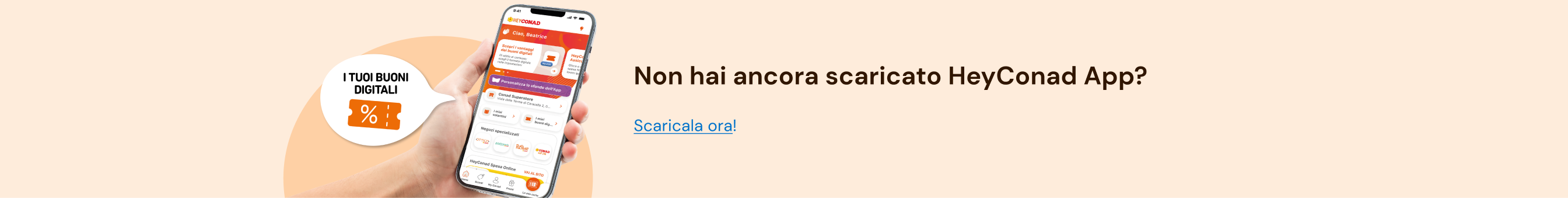 www.conad-itaa.sbs