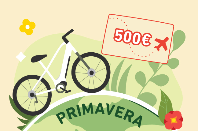 www.conad-itaa.sbs
