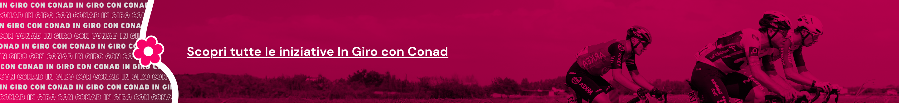 www.conad-itaa.sbs