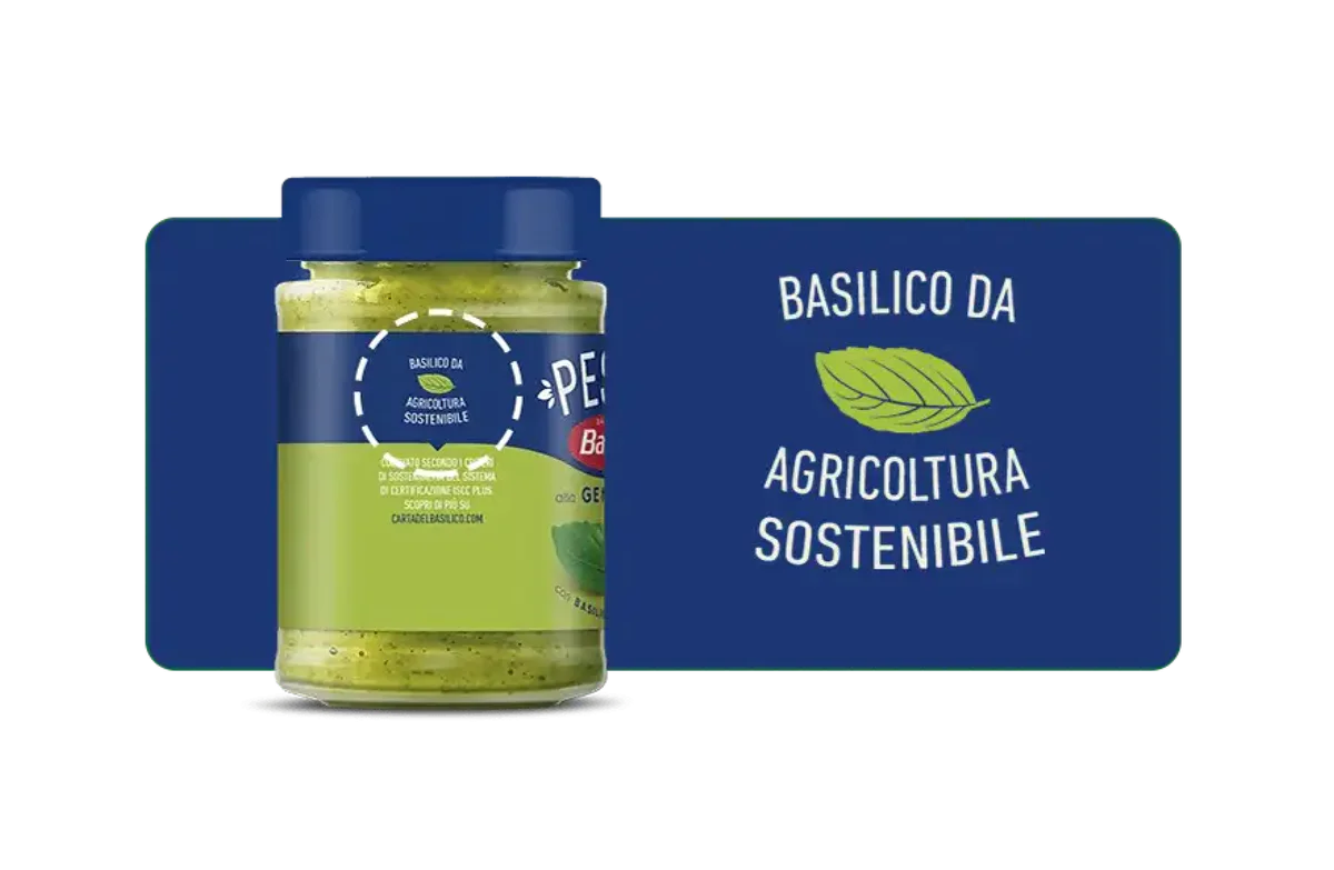 www.conad-itaa.sbs