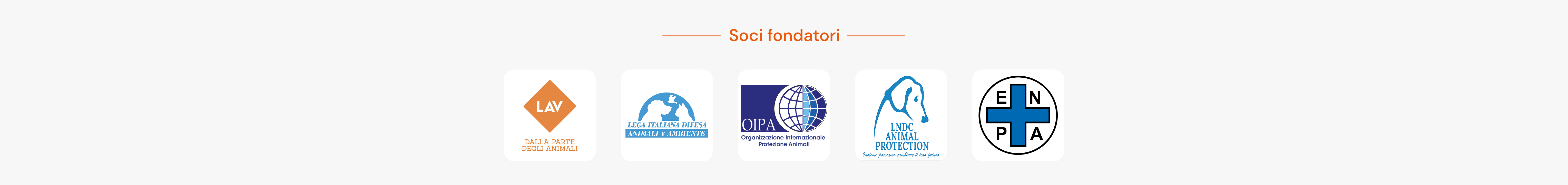 www.conad-itaa.sbs