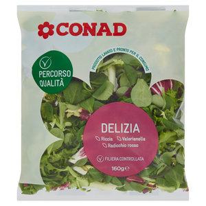 www.conad-itaa.sbs